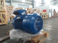 Động cơ Chân Đế ELEKTRIM EM160L-2